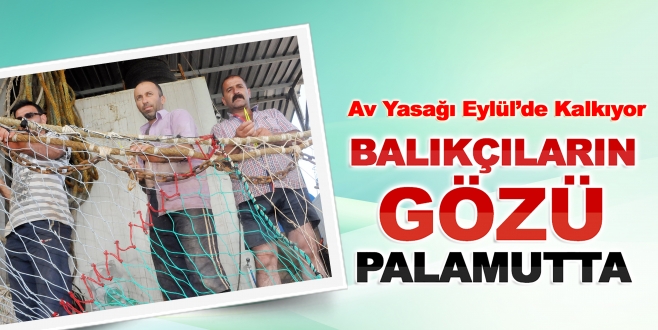 Balıkçıların Gözü Palamutta